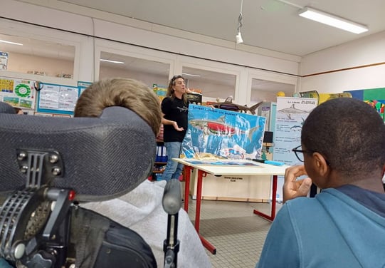 Sensibilisation des jeunes à la préservation des requins