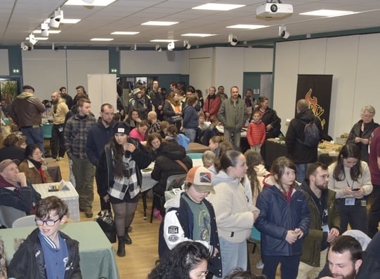 St-Léo Festi'Jeux