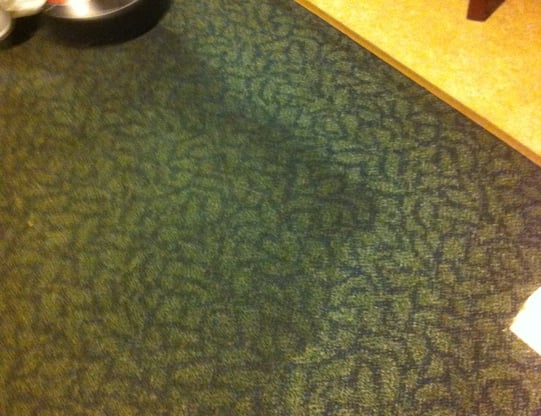 "Low moisture carpet cleaning in Daytona Beach, FL by TEC Floor Services."