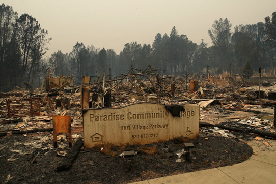 Wild Fire Safe Homes logo