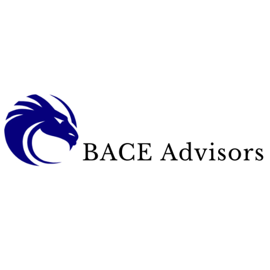 BACE Advisors LLC logo