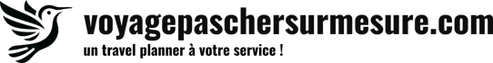 voyagepaschersurmesure.com logo
