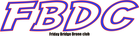 Friday Bridge Drone Club logo