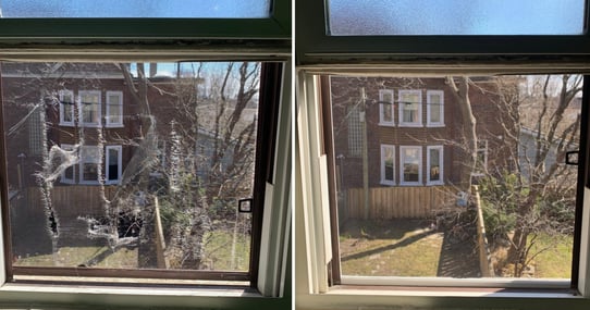 WINDOW SCREEN REPAIR