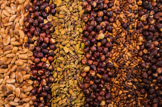 premium turkish hazelnuts, oils, spices, and dried fruits