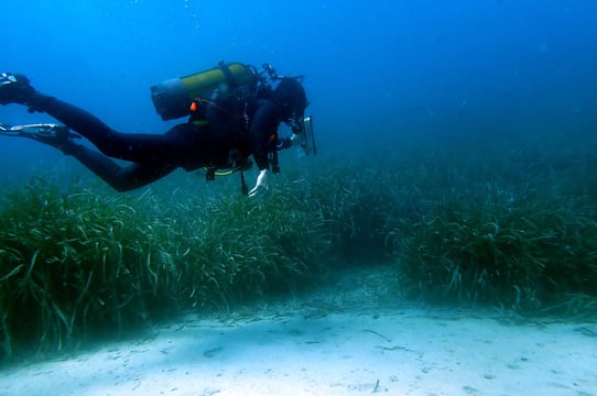 Prospection en plongée