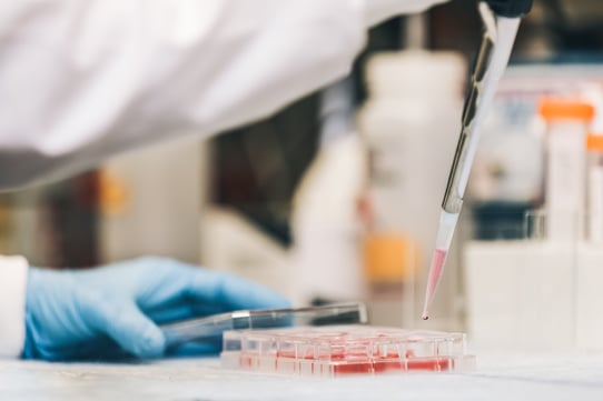 researcher pipetting media into mammalian cell culture plate