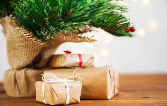 Gift under the Christmas tree