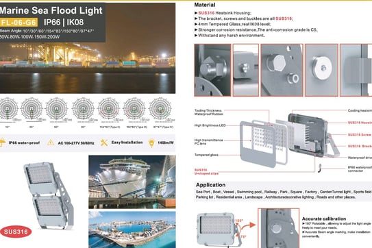 FL-06-G6 LED flood light 316 stainless steel 