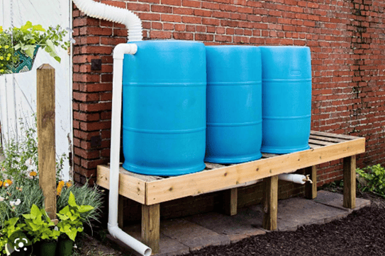 Rain Barrel System