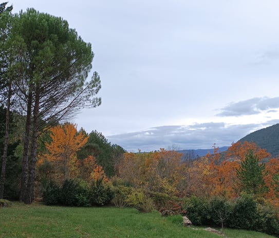 The view at home in France