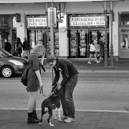 A man and woman standing on a sidewalk with a dog