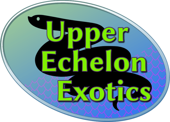 Upper Echelon Exotics logo