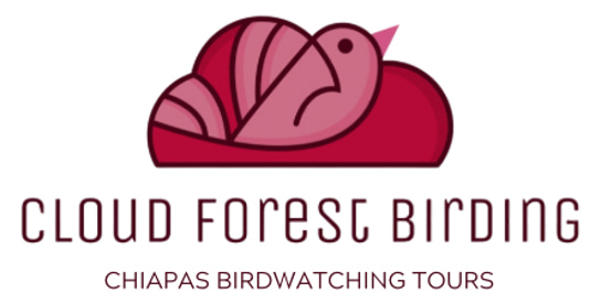 Cloud Forest Birding logo