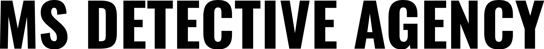 MS DETECTIVE AGENCY logo