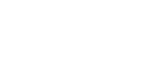 Lizzy Professional Hairstylist logo
