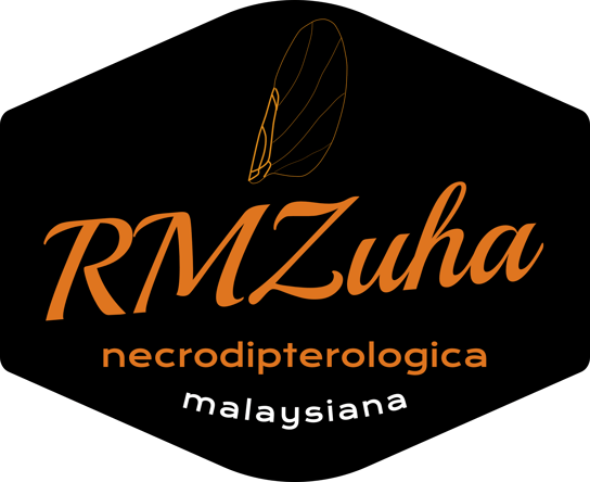 Fly by RMZuha logo