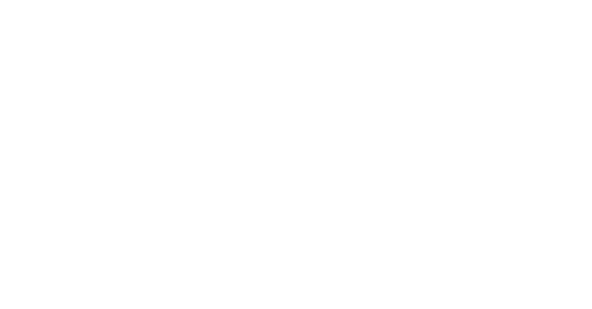 hynet logo