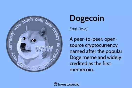Intro of doge coin