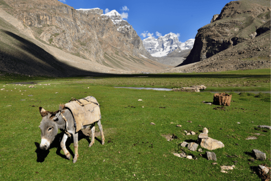 Montañas Pamir, Tayikistán