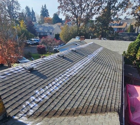 clean roof after soft washing