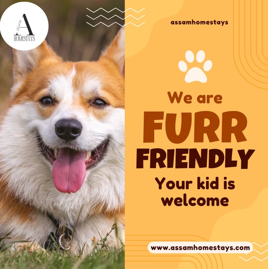 Pet friendly homestays , guesthouse , hotels in Guwahati