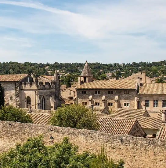 monastère de De Villeneuve à Avignon