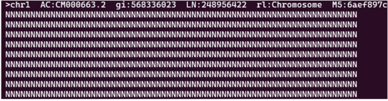 Reference genome first hundred bases shell output