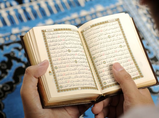 Quran English Translation