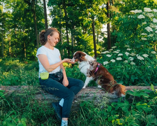 Antonia sitzt mit Hund auf Baumstamm – kleine Übungen im Mini Workshop mit Fokus auf Beziehung
