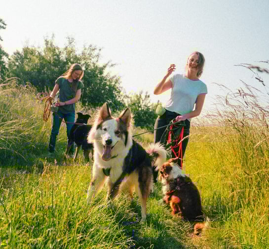 Tabea und Toni mit drei Hunden – Trainingsspaziergang in der Natur mit persönlicher Begleitung