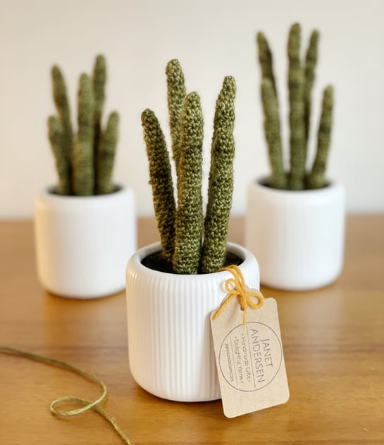 Three crocheted house plants in white ceramic pots