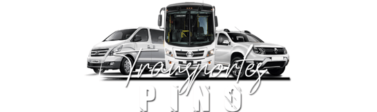 Transportes Pino logo