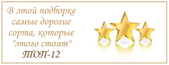 Самые дорогие сорта чая топ 12 онлайн магазин №1 в Испании