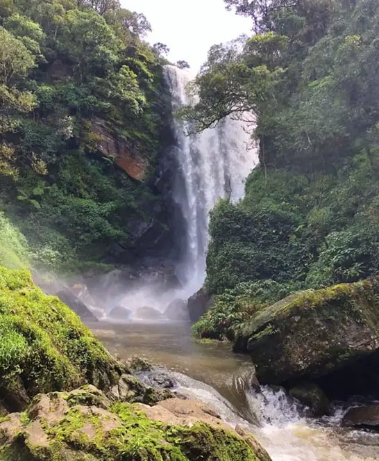 Elgin Falls