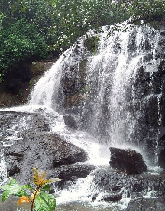 Algama Falls