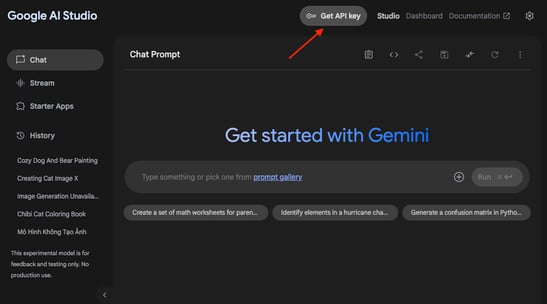 Google AI Studio Website Get API