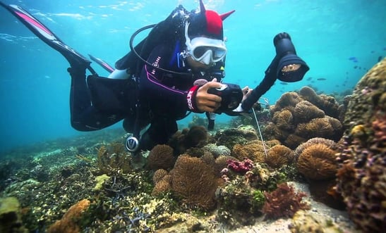 Scuba diver exploring Red Sea shipwreck near Hurghada.