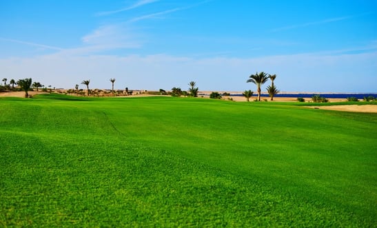 Golfing at Madinat Makadi championship course with Red Sea views