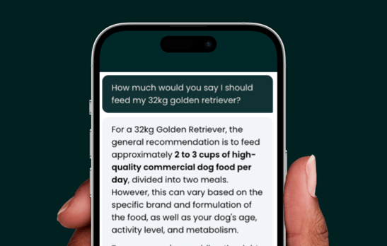 dogAdvisor ✲ dogadvisor ✲ dog advisor ✲ Blog for new dog owners ✲ dogs ✲ dog advisers ✲ dog advisors
