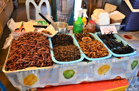 But save room for some Tasty Bugs for Lunch in Thailand