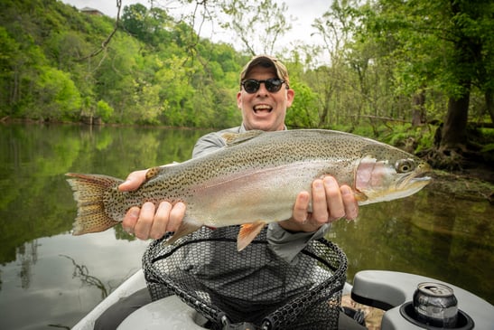 Big South Holston River Rainbow