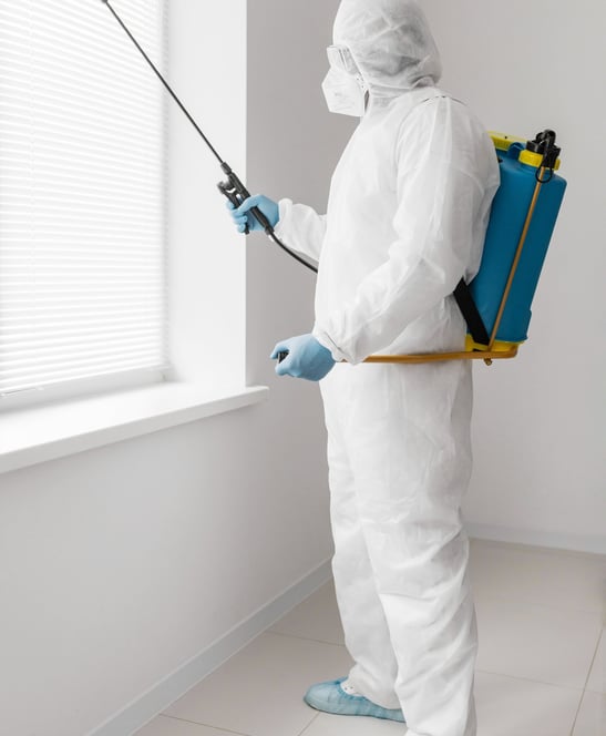 mold-removal-provo-ut