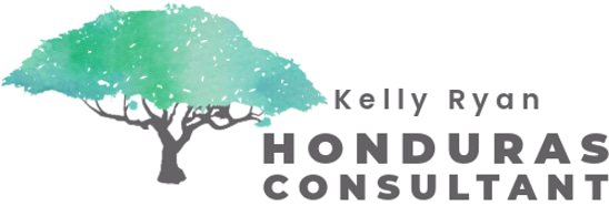 Honduras Consultant logo