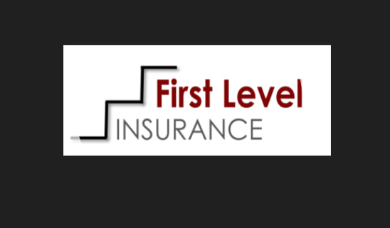 First Level Insurance Services logo