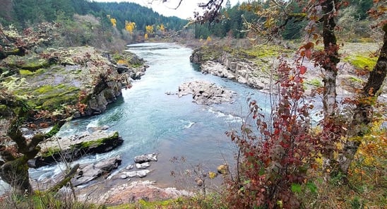 Waterfall Hwy, OR - Intersection of 2 rivers called Colliding Rivers in Glide