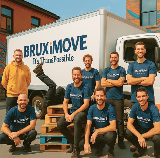 chauffeurs expérimentés, déménageurs attentifs, Un service professionnel, sans prise de tête