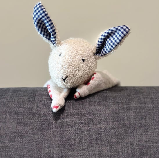 a stuffed animal rabbit with a blue checkered shirt