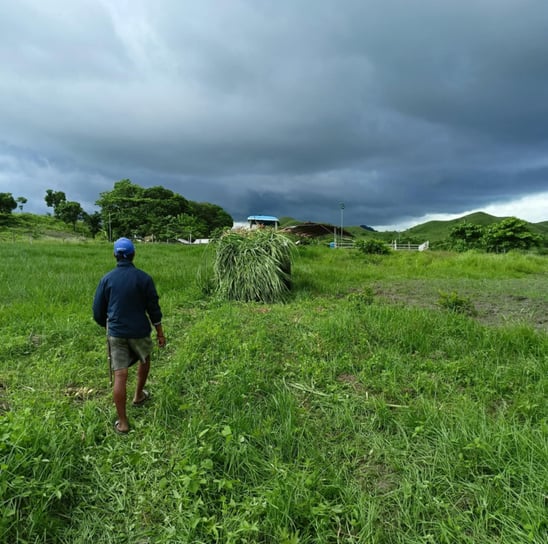 a man walking through a field with a pile of hay