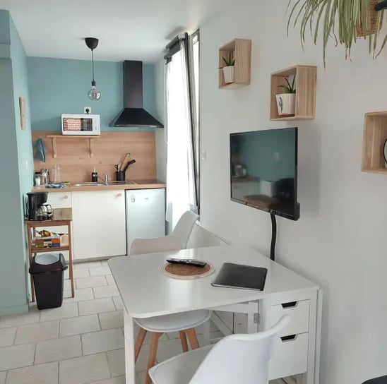 Location studio moderne avec kitchenette équipée, coin bureau et TV murale, déco scandinave et plantes verte